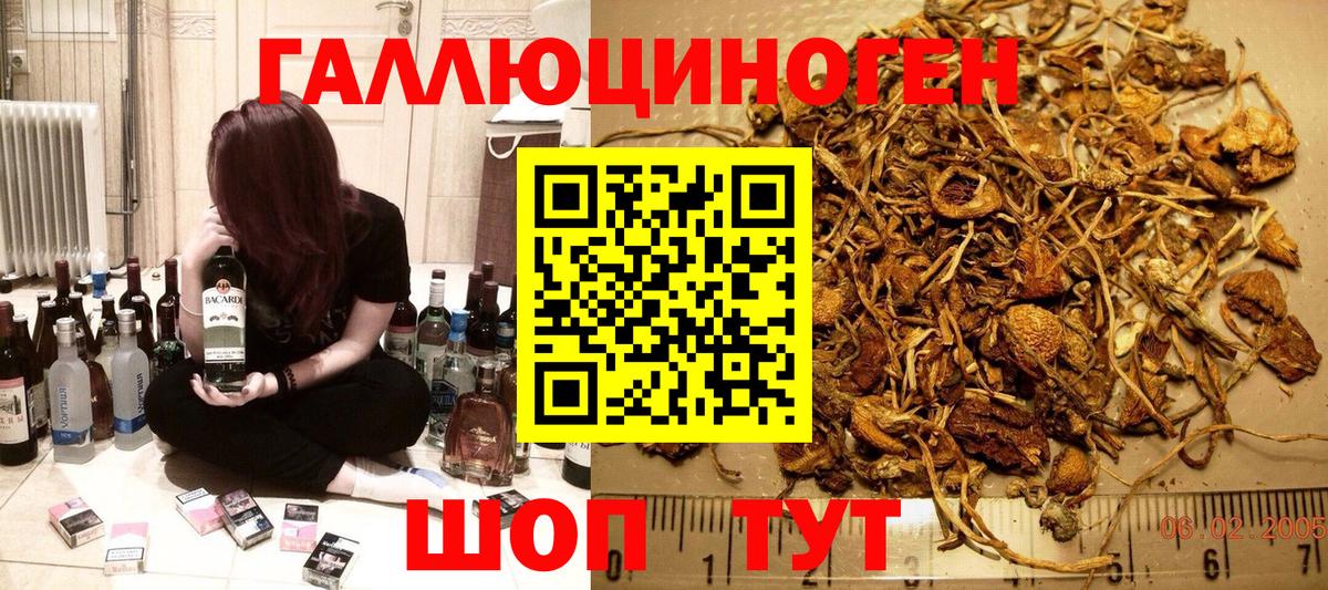 Псилоцибиновые грибы прущие грибы  Вход с VPN  Долгопрудный 